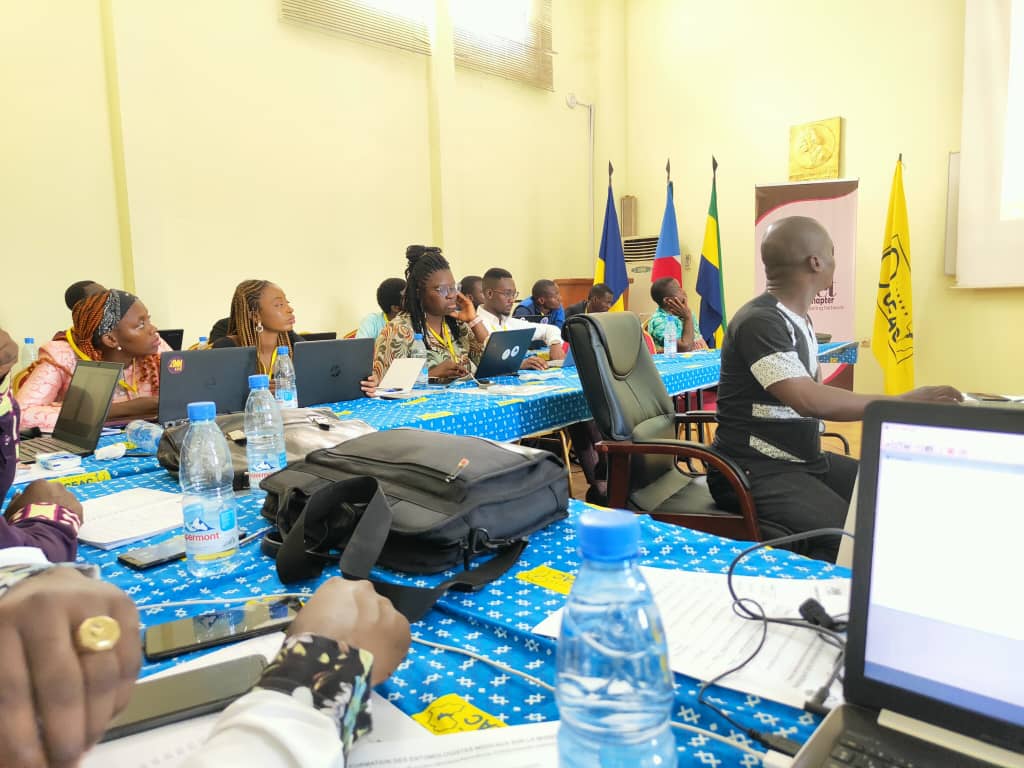 Read more about the article The AMMnet-OCEAC Modelling Training for Medical Entomologists