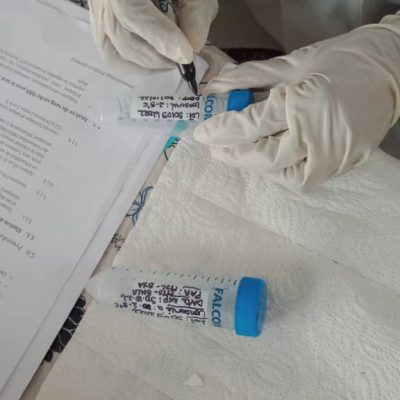 immuno_5